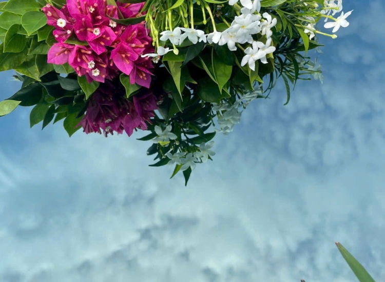 TẤM INOX GƯƠNG MÀU XANH NƯỚC BIỂN 8K|PVD Ocean Blue 8K